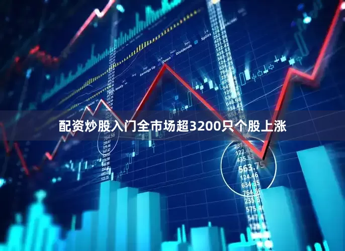 配资炒股入门全市场超3200只个股上涨