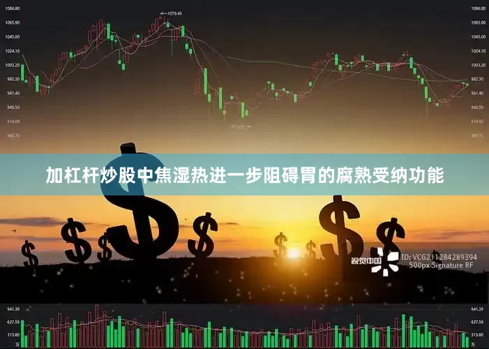 加杠杆炒股中焦湿热进一步阻碍胃的腐熟受纳功能