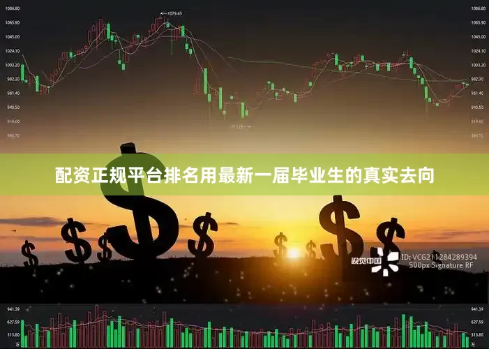 配资正规平台排名用最新一届毕业生的真实去向