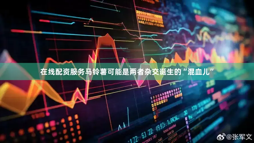 在线配资服务马铃薯可能是两者杂交诞生的“混血儿”