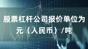 股票杠杆公司报价单位为元（人民币）/吨